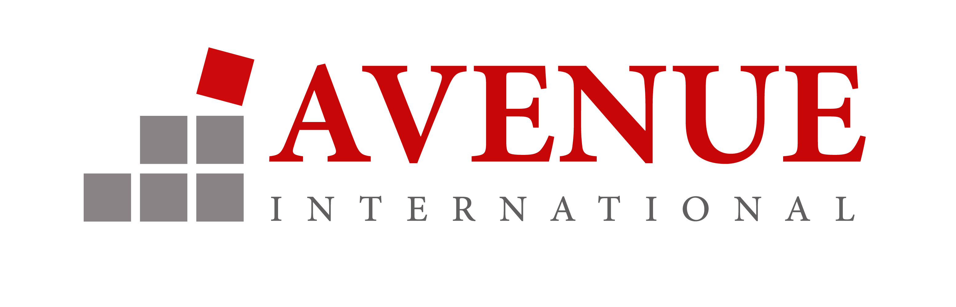 AVENUE INTERNATIONAL